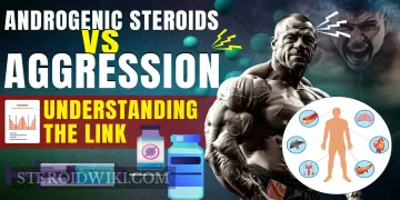 Androgenic Steroids & Aggression: Understanding the Connection