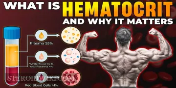 What Is Hematocrit and Why It Matters