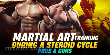 Martial Arts Training During a Steroid Cycle: Pros and Cons&nbsp;