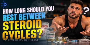 How Long Should You Rest Between Steroid Cycles?