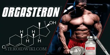 Orgasteron steroid profile
