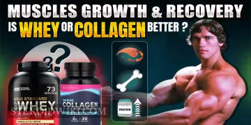 Collagen vs. Whey: Which Protein Powers Muscle Growth and Performance?