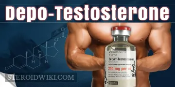 A Comprehensive Guide on Depo-Testosterone