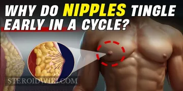 Why Do Nipples Tingle Early in a Cycle?