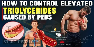 Controlling Triglycerides While Using Performance Enhancers