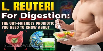 L. Reuteri for Digestion: The Gut-Friendly Probiotic You Need to Know About