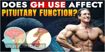 Does GH Use Affect Pituitary Function?
