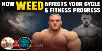 How Weed Affects Your Training Cycle and Fitness Progress