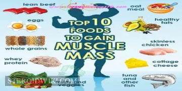 Top 10 Foods to BUILD MUSCLES