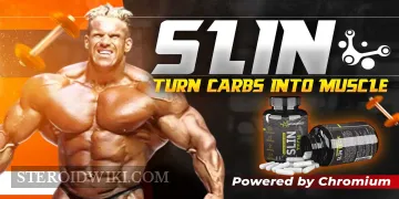 SLIN: Turn Carbs into Muscle