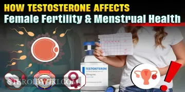How Testosterone Affects Female Fertility and Menstrual Health