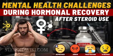 Mental Health Challenges During Hormonal Recovery After Steroid Use