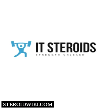 it-steroids.com Logo