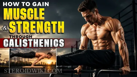 How to Gain Muscle and Strength Through Calisthenics