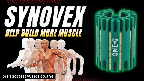 Steroid profile: Synovex