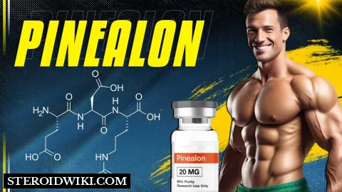 A comprehensive guide on Pinealon peptide