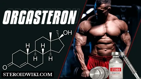 Orgasteron steroid profile