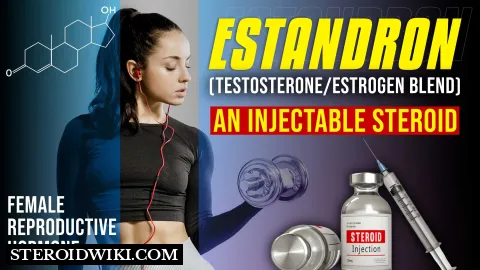 Estandron (Testosterone/Estrogen Blend): A comprehensive guide