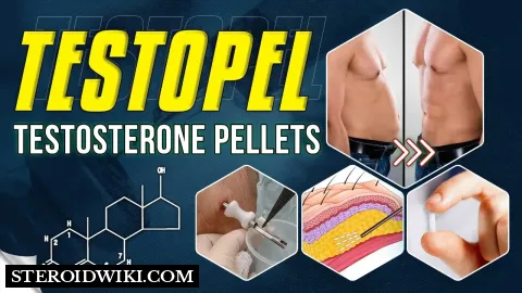 Testopel (testosterone pellets) steroid profile