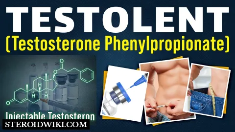 Testolent (testosterone phenylpropionate) anabolic steroid profile and dosage