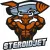  SteroidJet.com