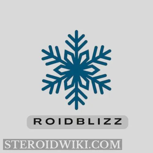 roid-blizz.com Logo