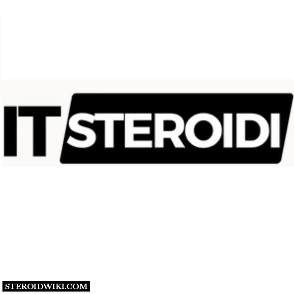 it-steroid.com Logo