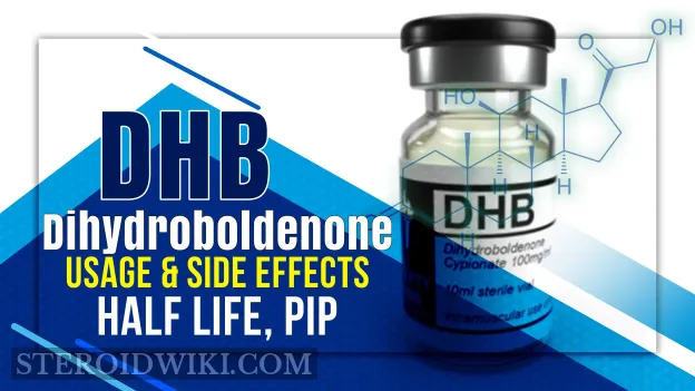 DHB &ndash; Dihydroboldenone Complete Profile, Usage and Side-effects