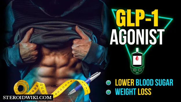 GLP-1 agonists : A Comprehensive Guide