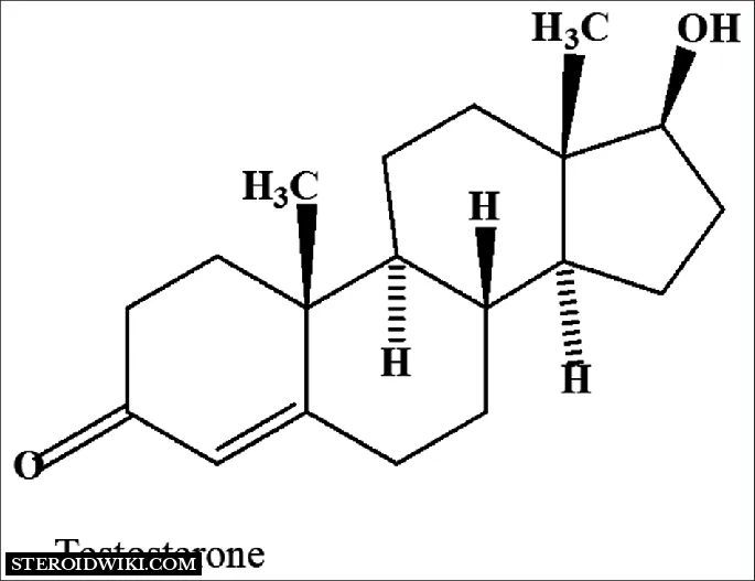 Depo-Testosterone structure