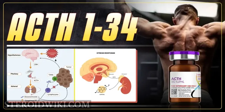 HGH & Peptides