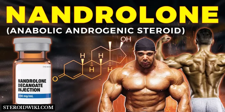 Steroid Profiles