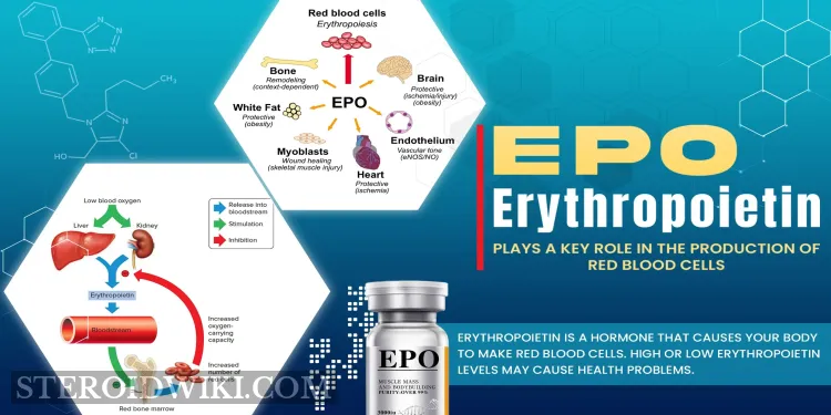 HGH & Peptides