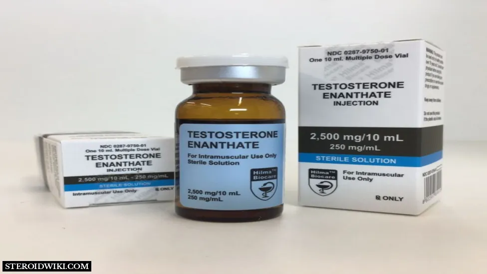 Testosterone Enanthate Steroid Profile