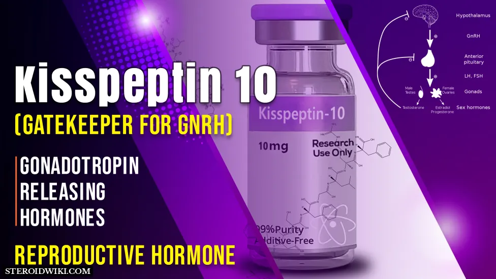 Kisspeptin-10 (Kp-10)