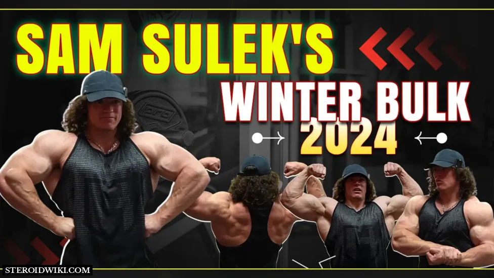 Sam Sulek Winter Bulk Plan for 2024