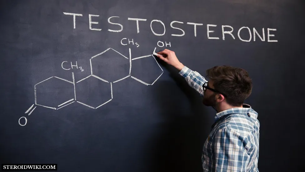 An Overview of Testosterone