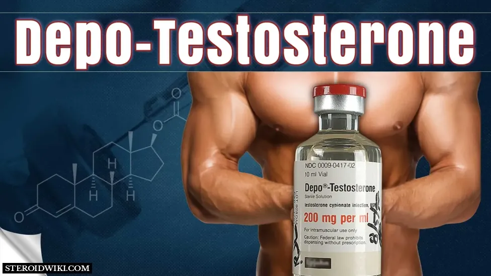 A Comprehensive Guide on Depo-Testosterone