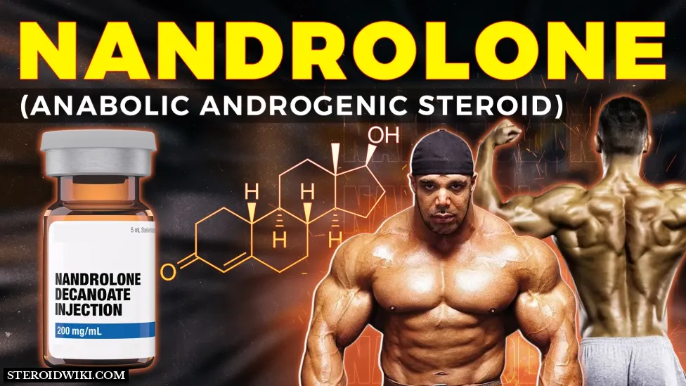 Understanding Nandrolone and It's Risks