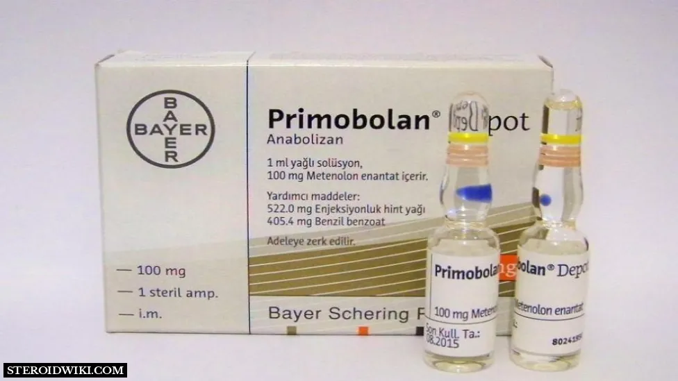 Primobolan (Methenolone) Steroid Profile