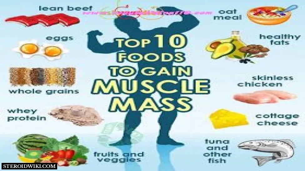 Top 10 Foods to BUILD MUSCLES