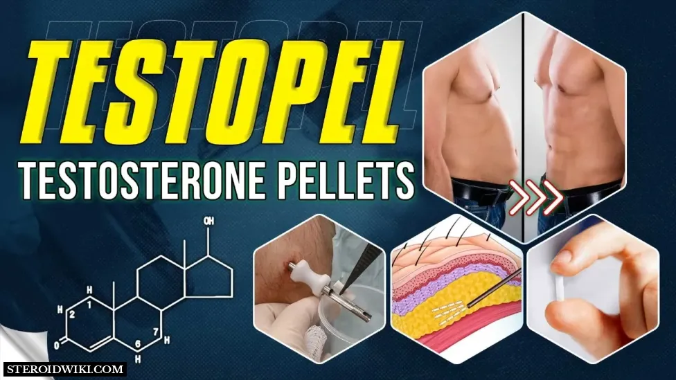 Testopel (testosterone pellets) steroid profile