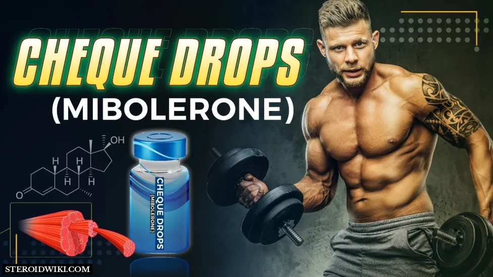 Steroids Profile: Cheque Drops (Mibolerone) Everything You Need to Know