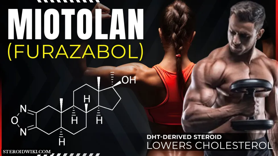 Miotolan (Furazabol) Complete Steroid Profile