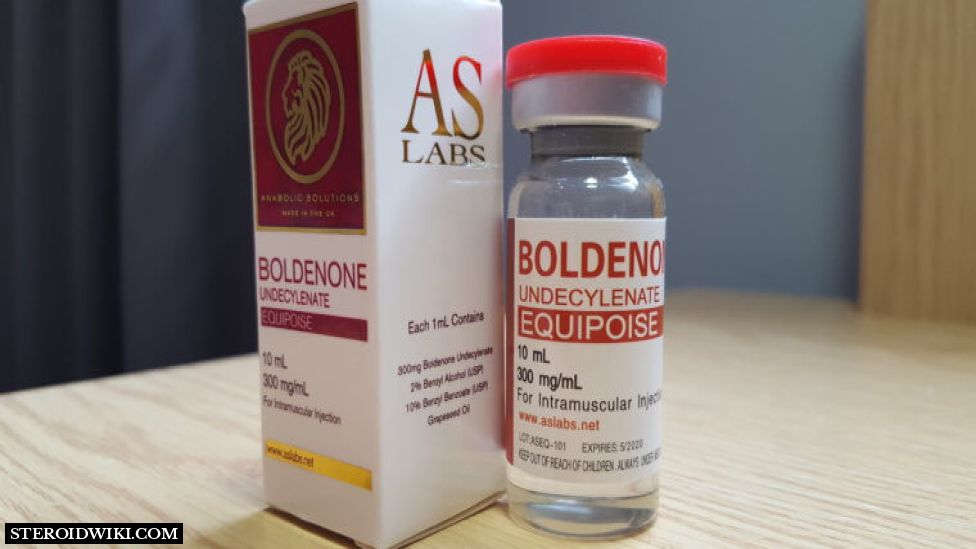 Steroid Profile: EQUIPOSE (Boldenone Undecylenate)