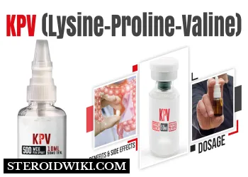 KPV (Lysine-Proline-Valine) - Dosage, Benefits & Side Effects