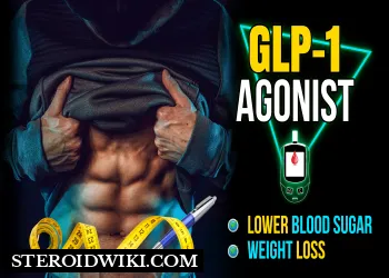 GLP-1 agonists : A Comprehensive Guide