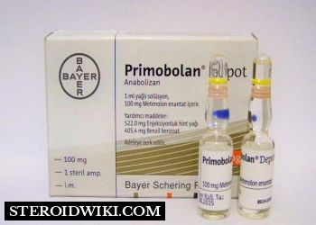 Primobolan (Methenolone) Steroid Profile