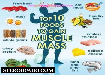 Top 10 Foods to BUILD MUSCLES