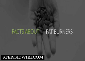 Ultimate Guide on Fat Burners